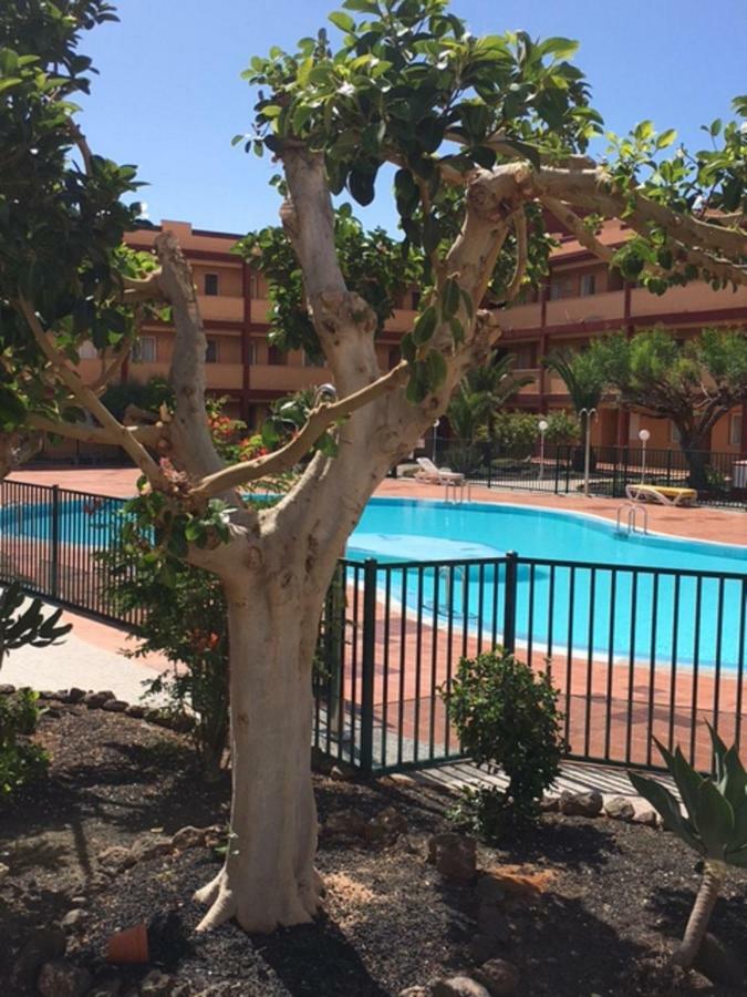 Casa Lilly Apartment Parque Holandes Luaran gambar